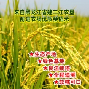 前進(jìn)農(nóng)場(chǎng)優(yōu)質(zhì) 長(zhǎng)粒香水稻