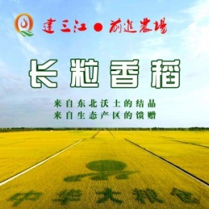 前進(jìn)農(nóng)場(chǎng)優(yōu)質(zhì) 長(zhǎng)粒香水稻